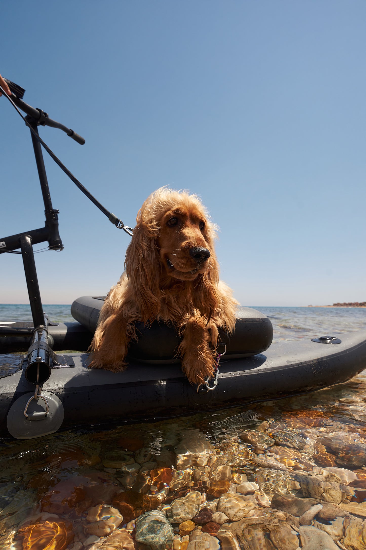 Water Bike